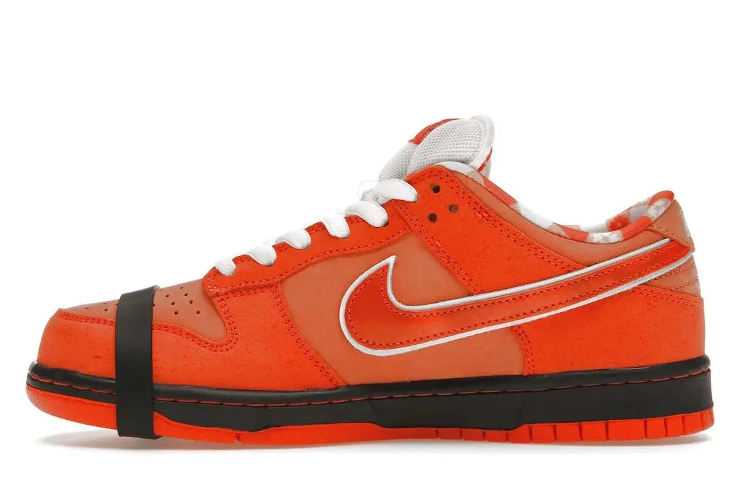 Alt text for the image.