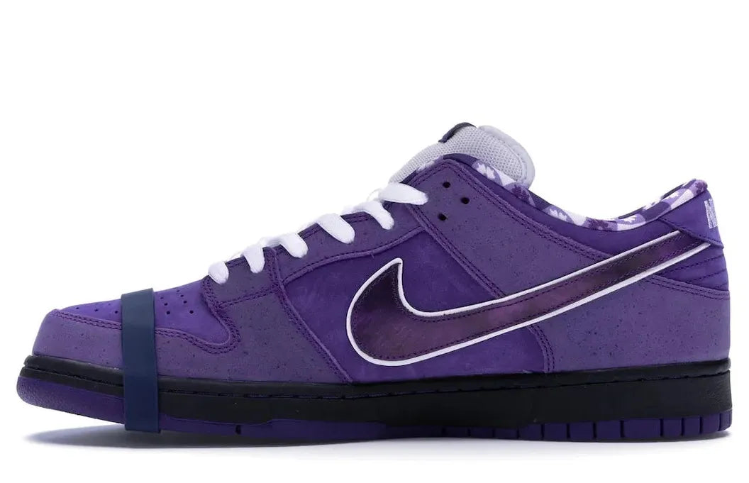 Alt text for the image.