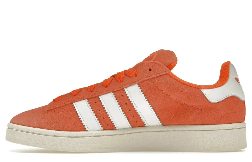 Alt text for the image.