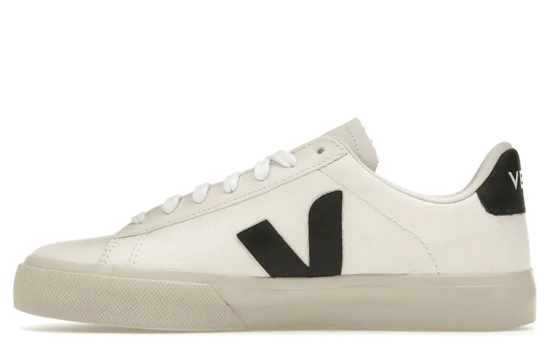 Alt text for the image.