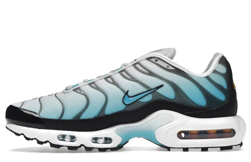 Alt text for the image.