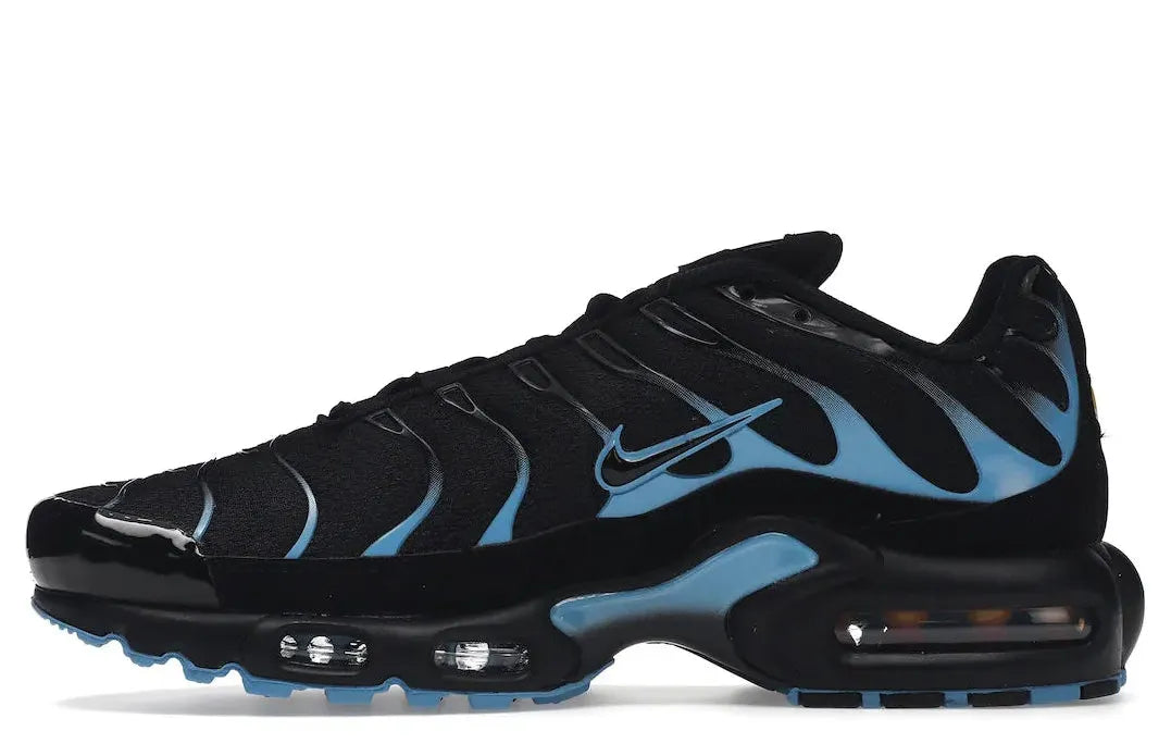 Alt text for the image.