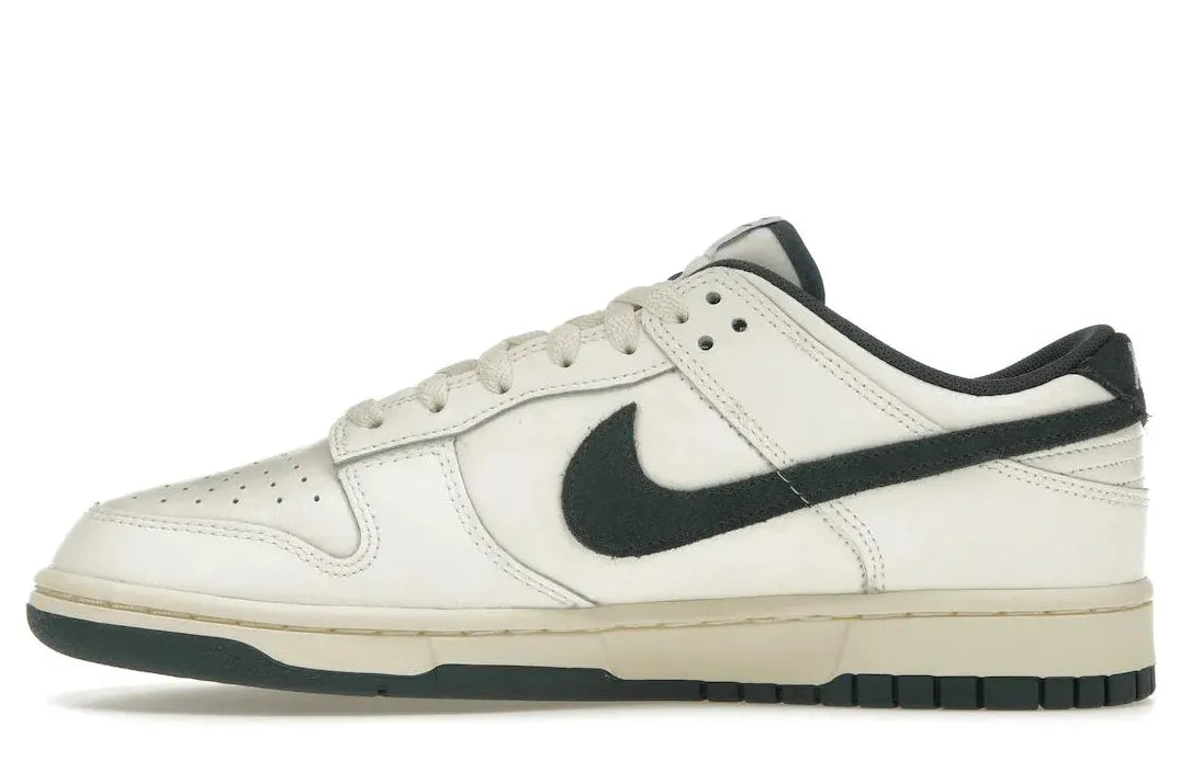 Alt text for the image.