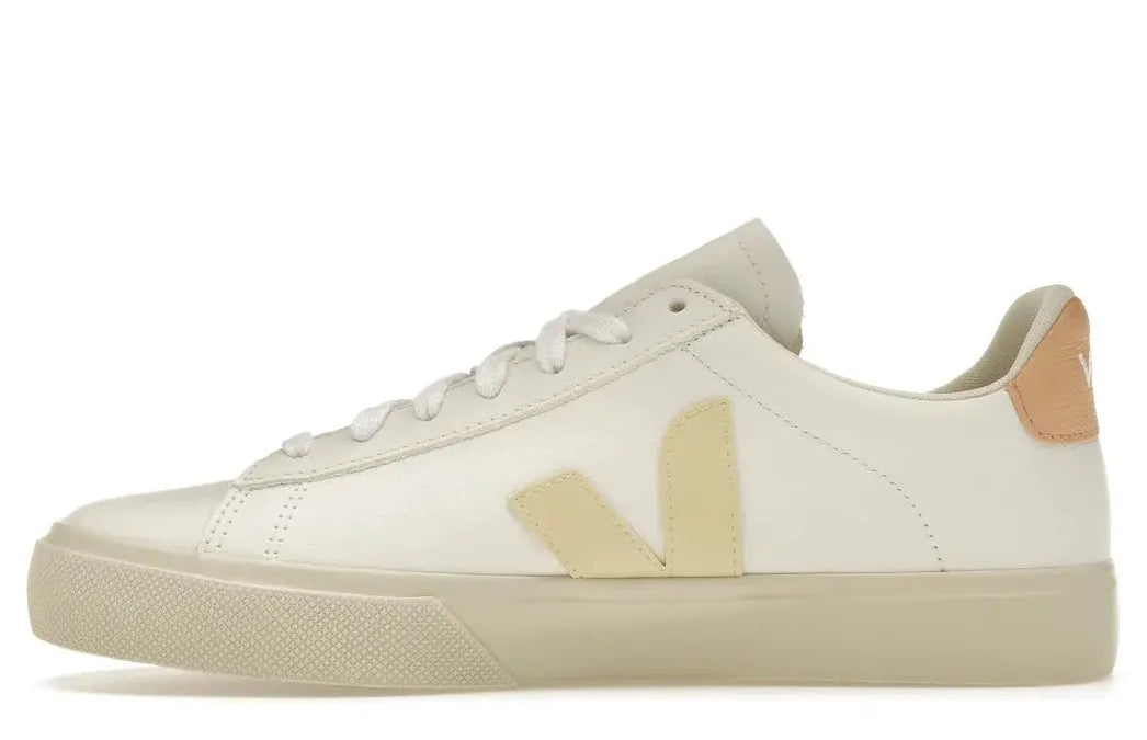 Alt text for the image.