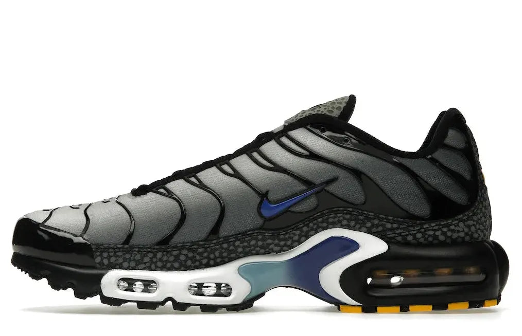 Alt text for the image.