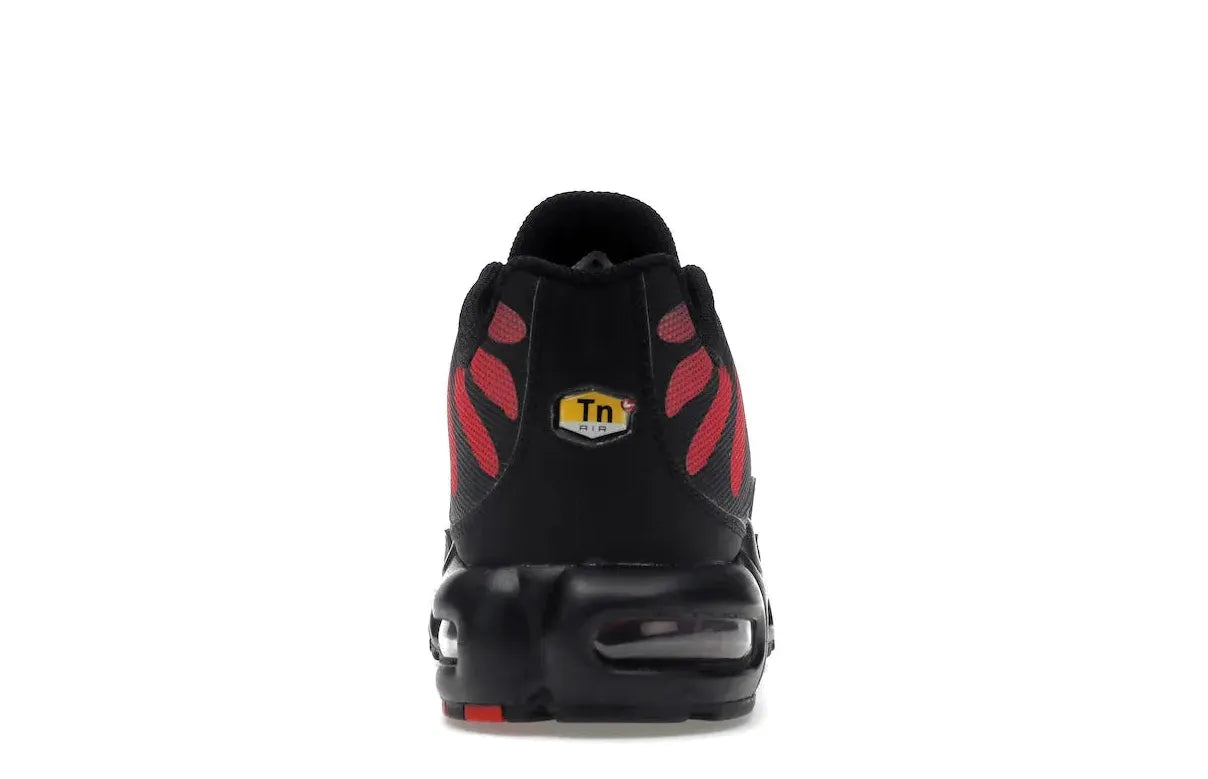 Alt text for the image.