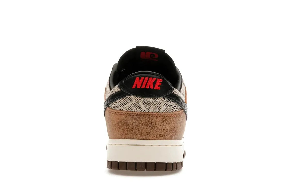 Alt text for the image.