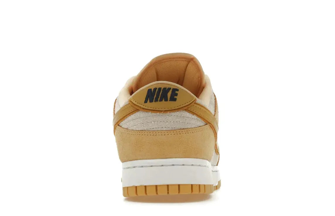 Alt text for the image.