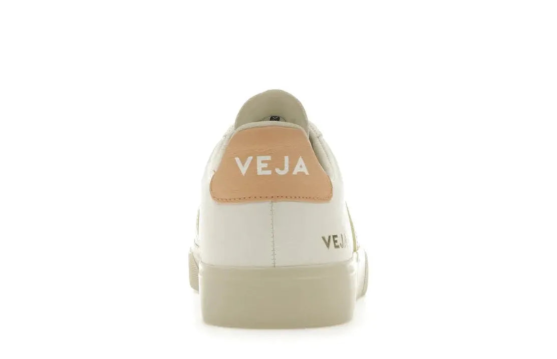 Alt text for the image.