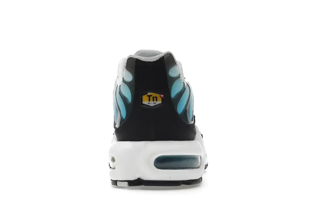 Alt text for the image.