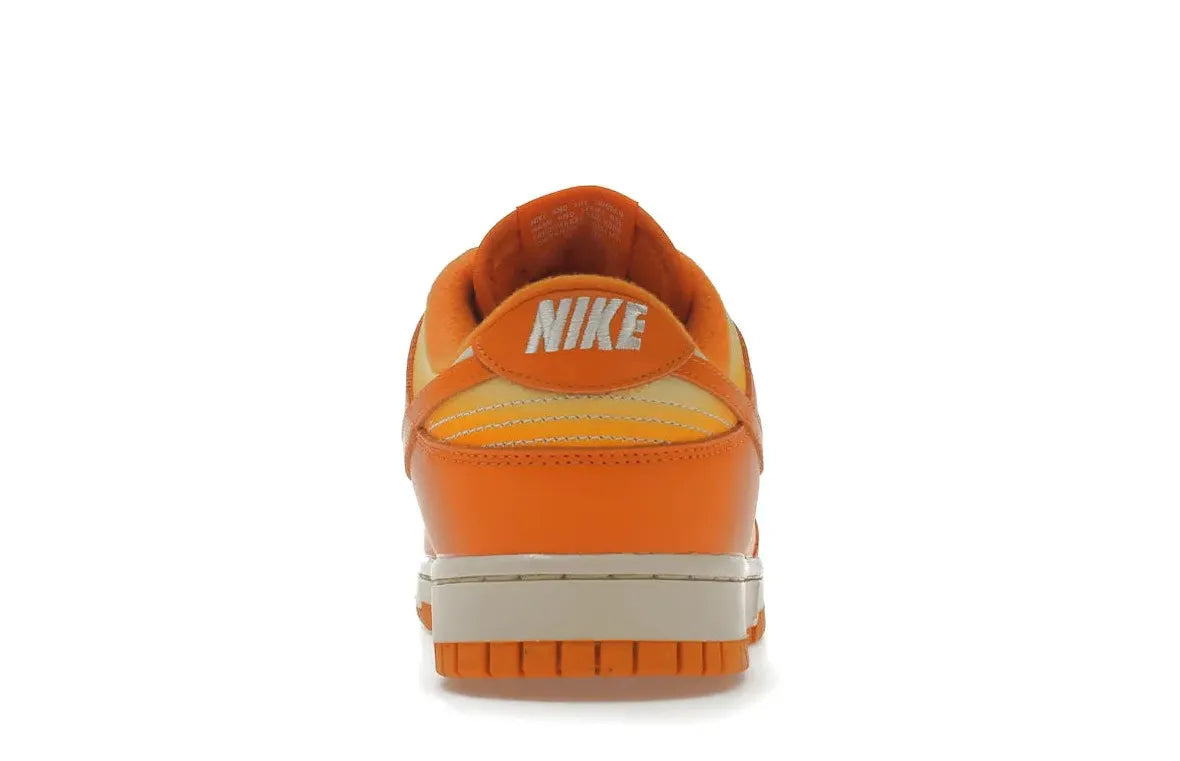 Alt text for the image.