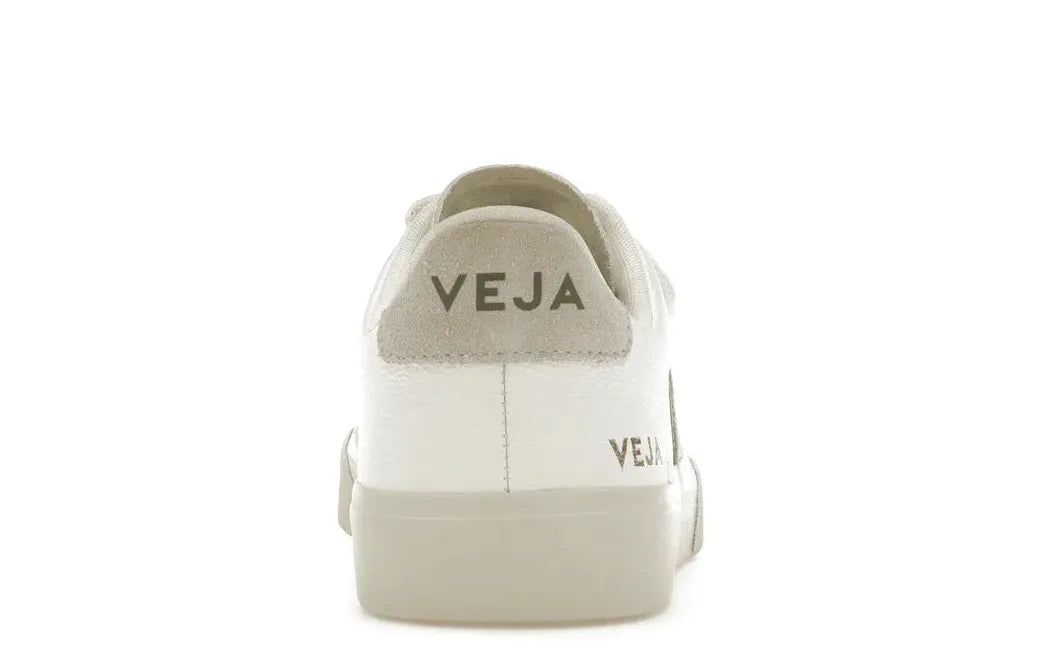 Alt text for the image.