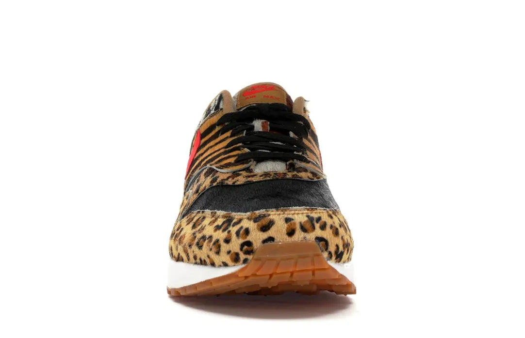 Alt text for the image.