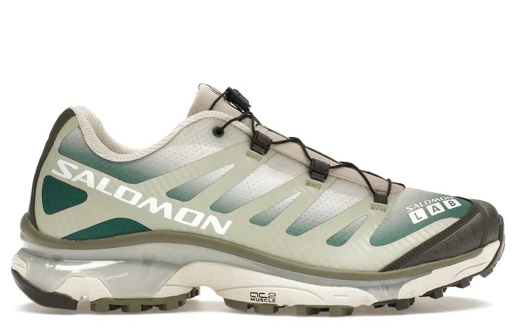 Alt text for the image.