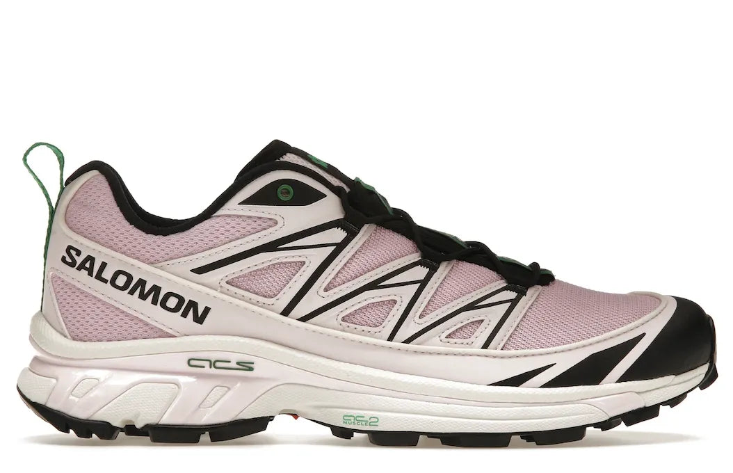 Alt text for the image.