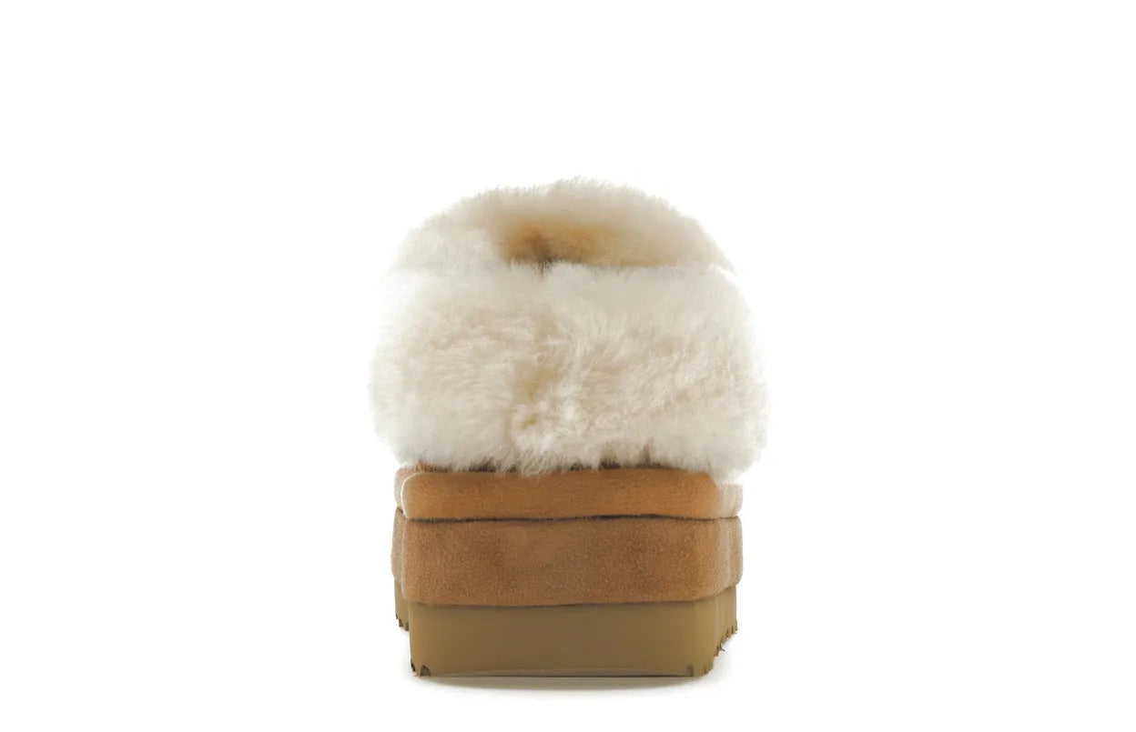 Alt text for the image.