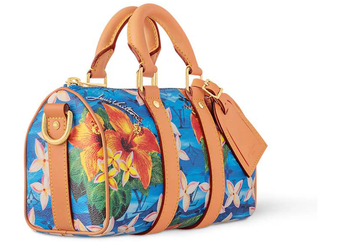 Alt text for the image.