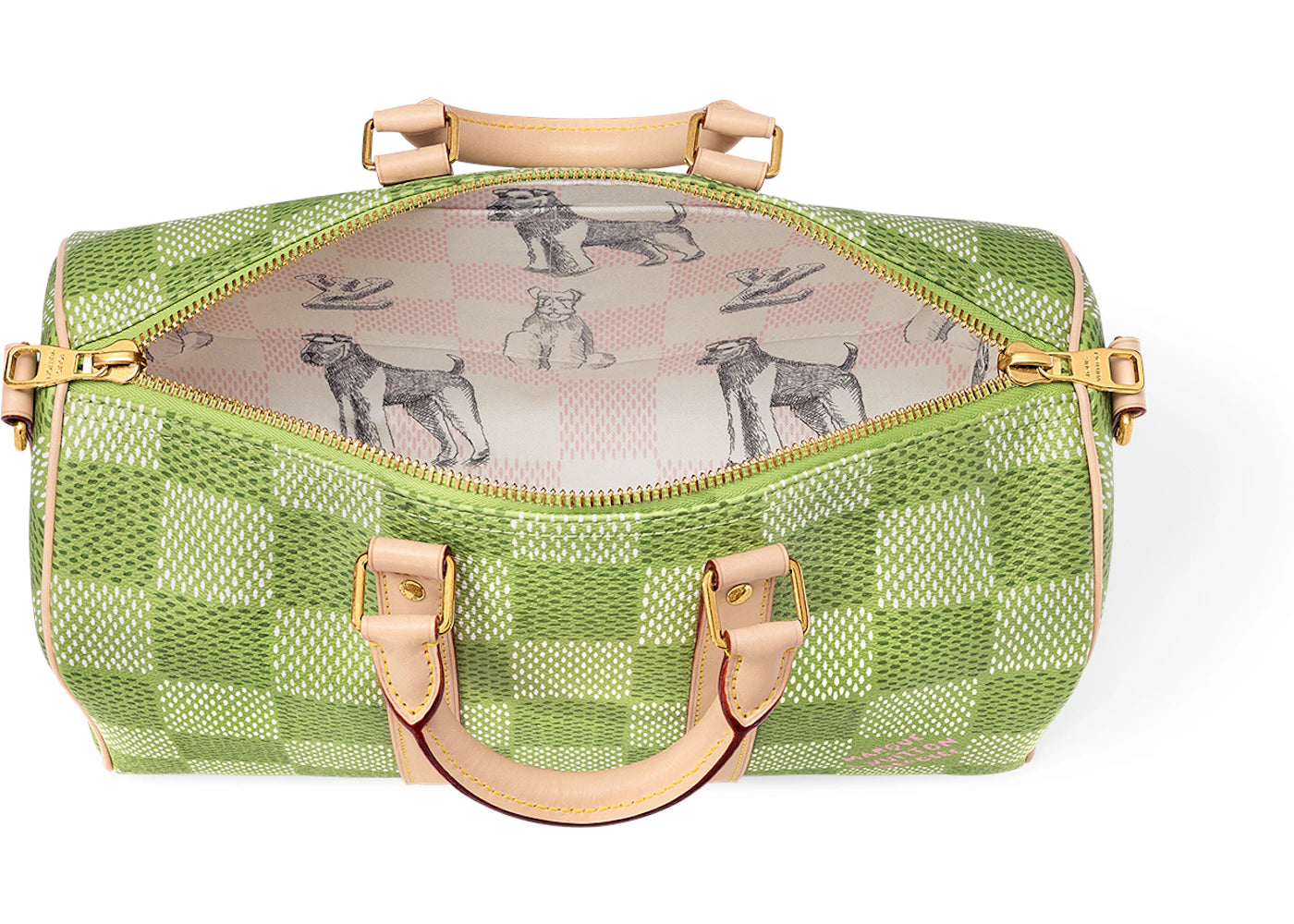 Alt text for the image.