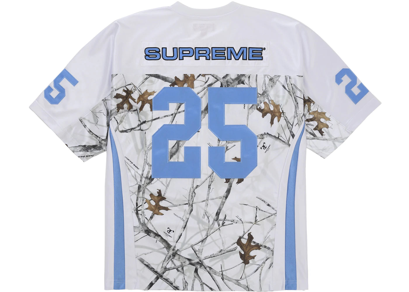 Alt text for the image.