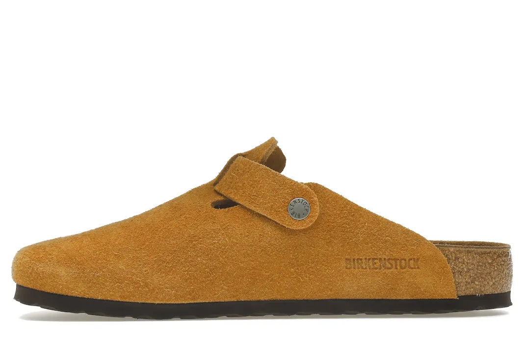 Alt text for the image.