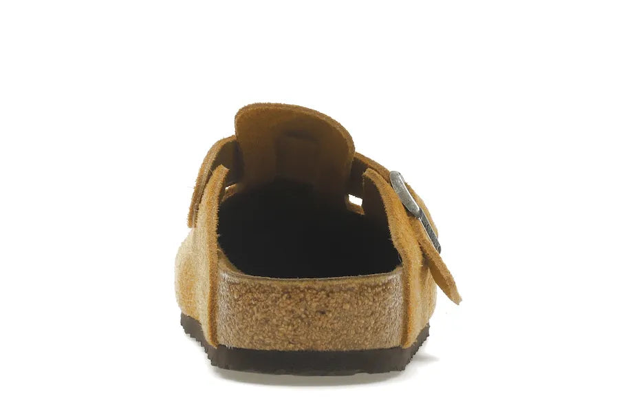 Alt text for the image.