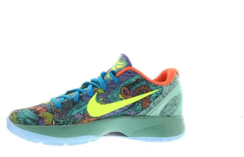 Alt text for the image.