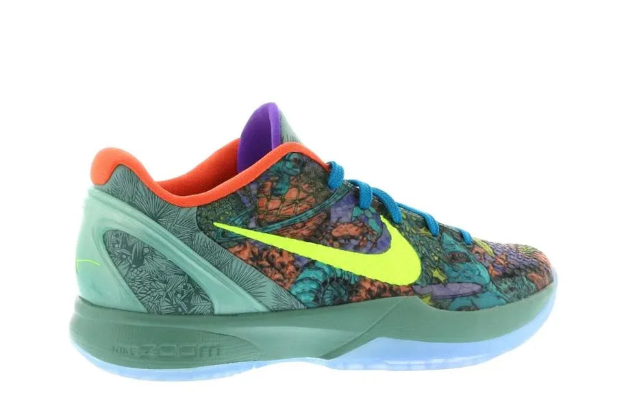 Alt text for the image.