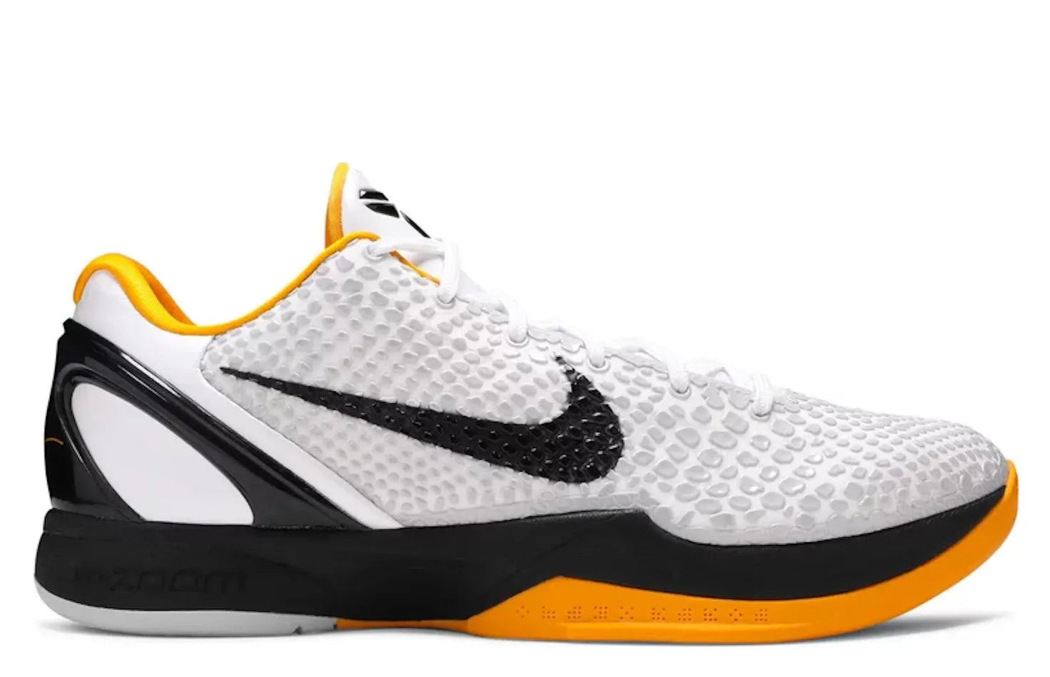 Alt text for the image.